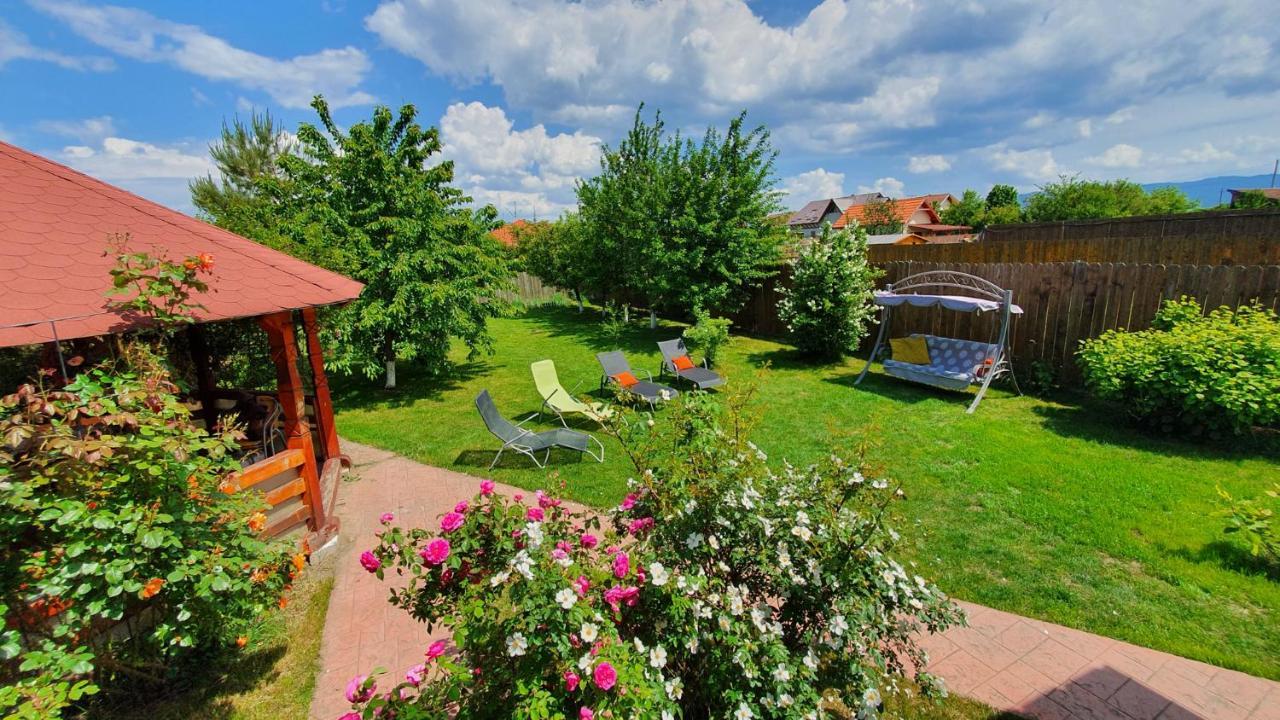 Jasmine Residence Prejmer Εξωτερικό φωτογραφία