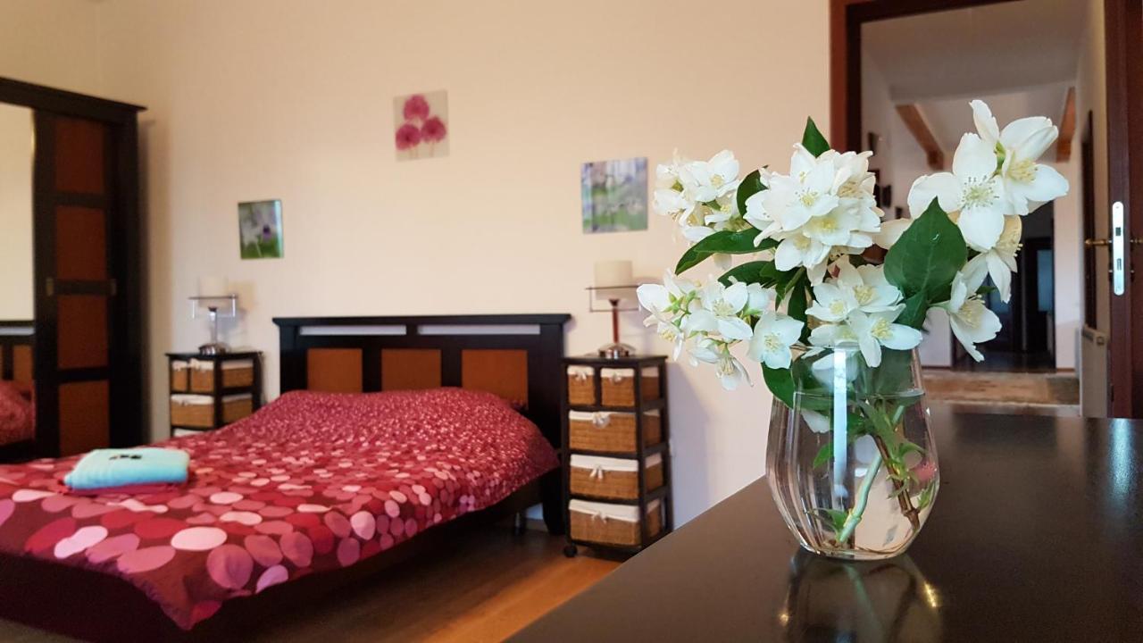 Jasmine Residence Prejmer Εξωτερικό φωτογραφία